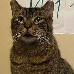 Meet your Posher, Colby